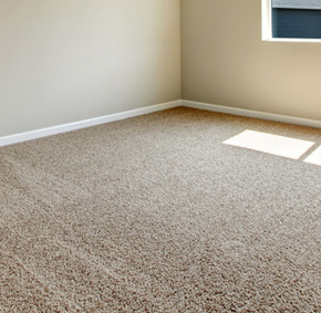A fitted carpet in an empty room