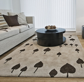 A rug with a striking pattern