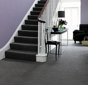 carpet-1