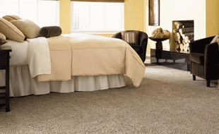 Carpet-3